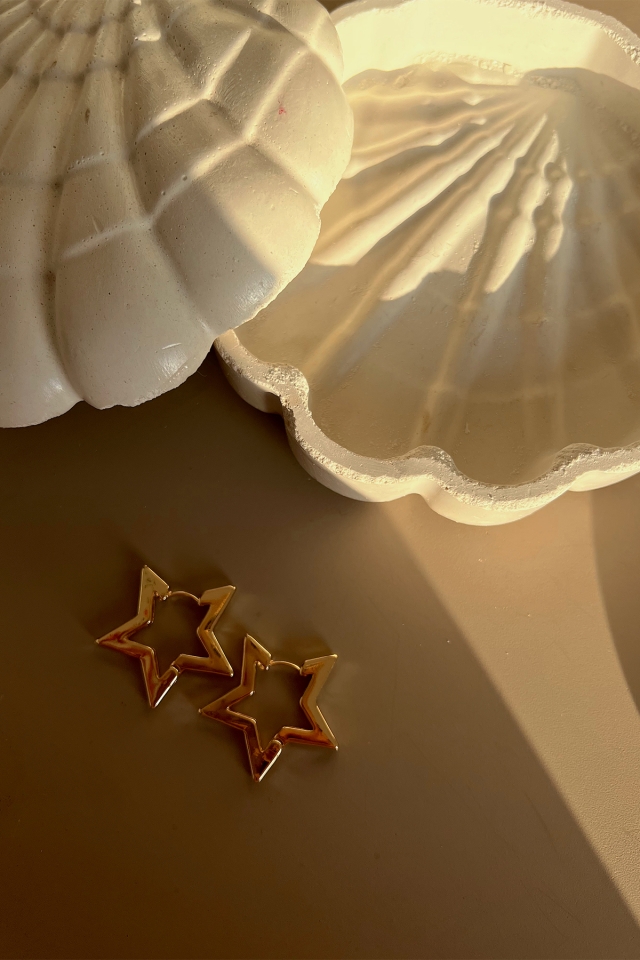 Gold Star küpe Ak27