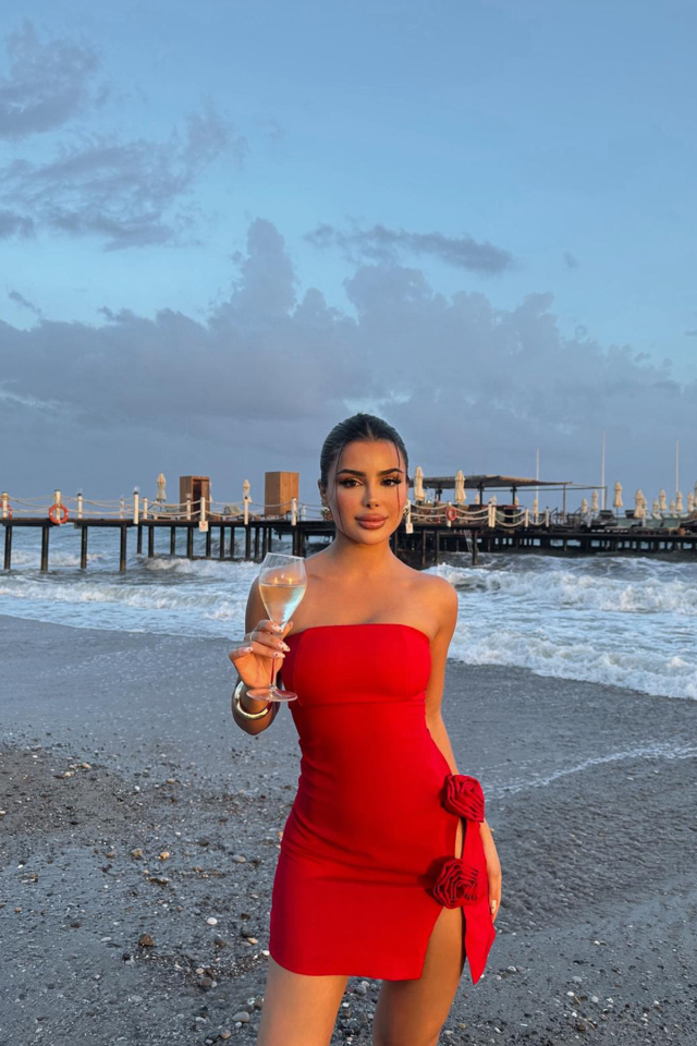 Kırmızı Gül Detay Mini Elbise ATE-1354 - EYYO