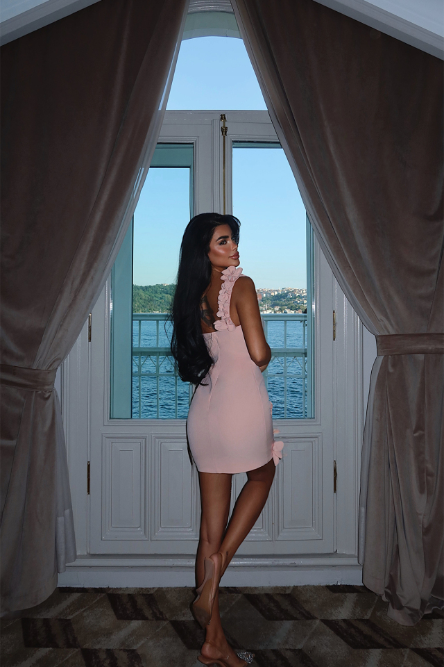 Pudra Dariah Mini Çiçekli Abiye ATE-3255