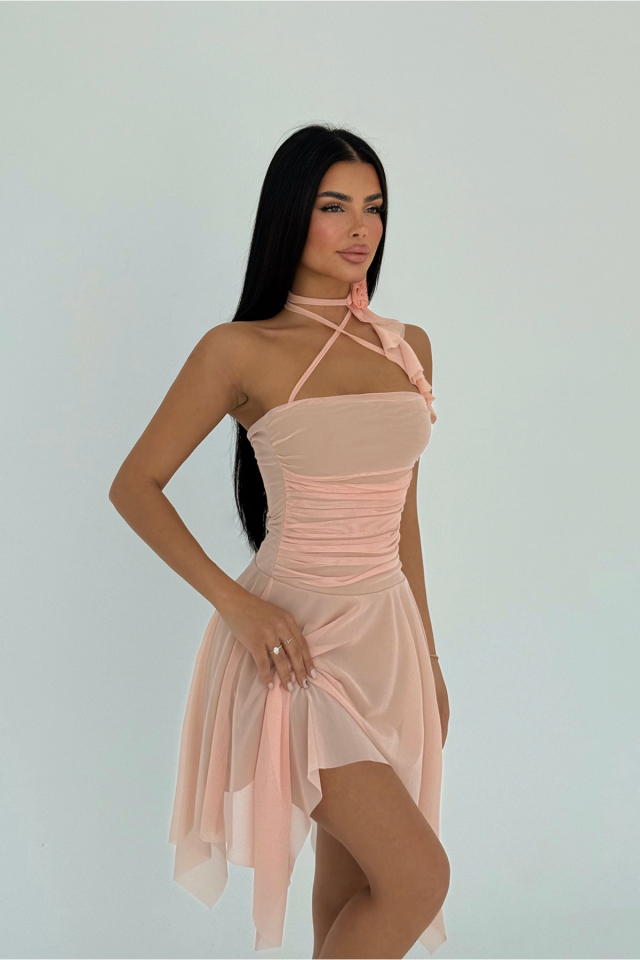 Pudra Delilah Mini Tül Elbise ATE-2401