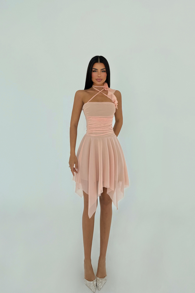 Pudra Delilah Mini Tül Elbise ATE-2401