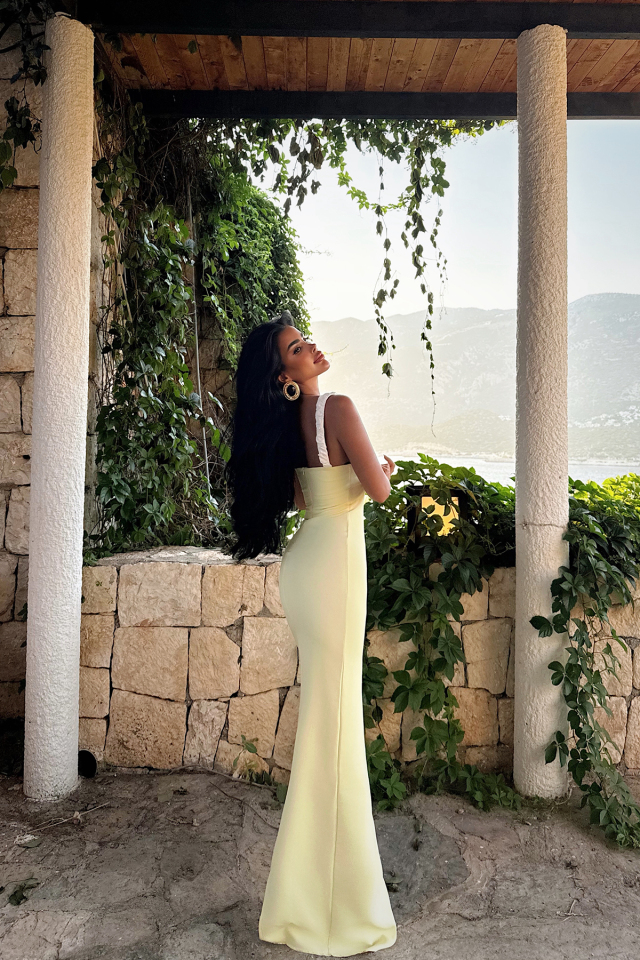 Sarı Cordelia Uzun Elbise ATE-3019