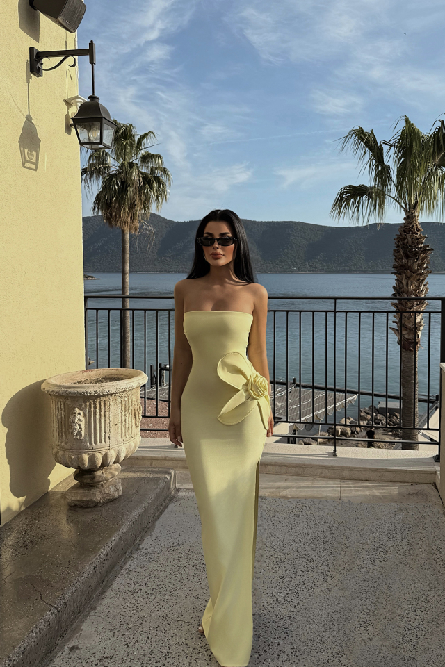Sarı Daysi Straplez Elbise ATE-2605
