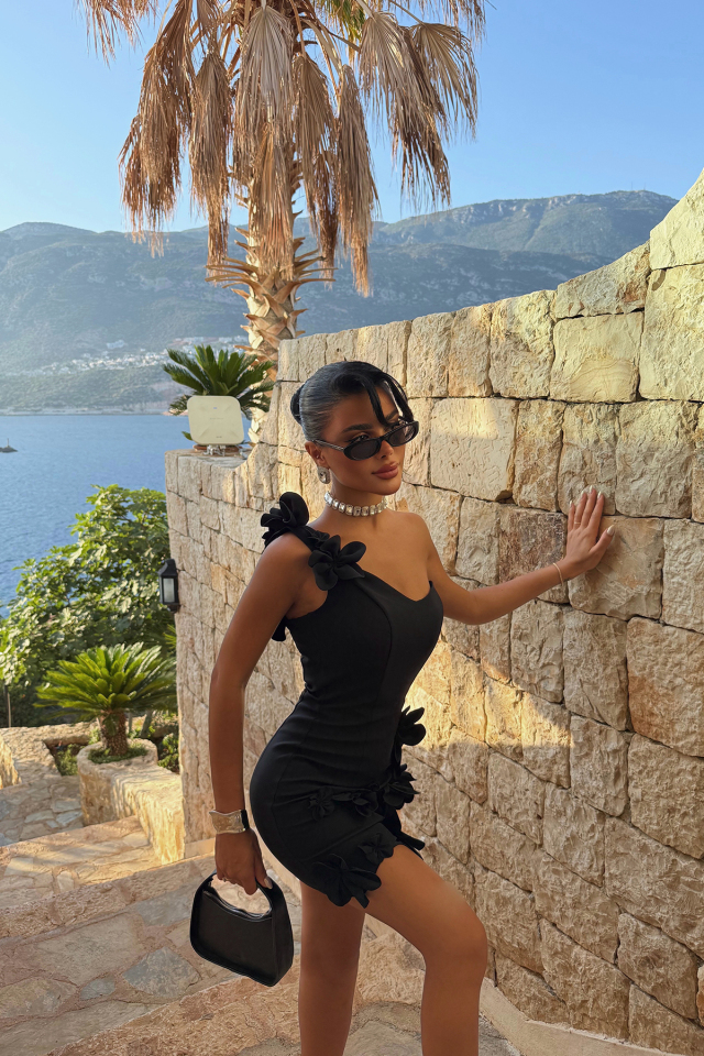 Siyah Dariah Mini Çiçekli Abiye ATE-3257