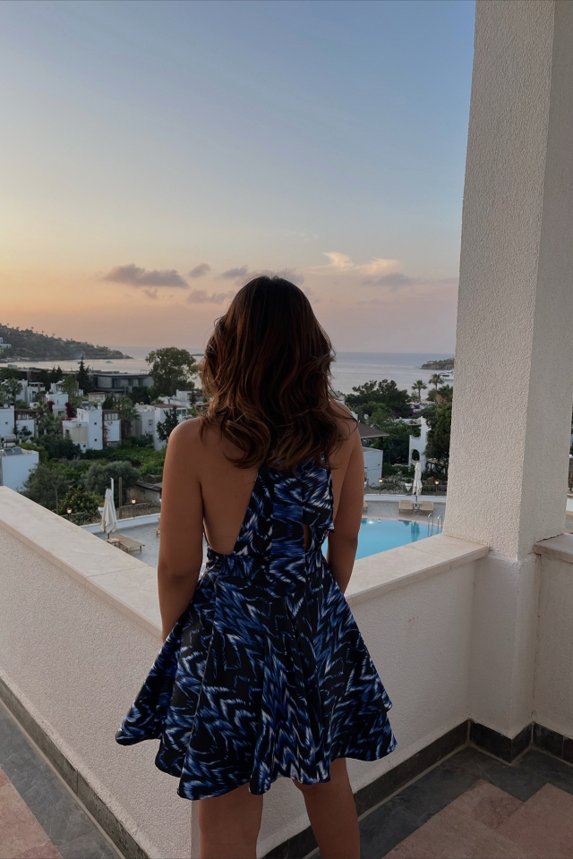Spring Zebra Desen Elbise ATE1590