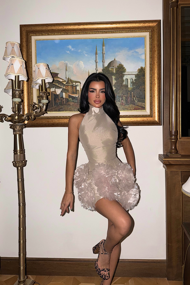 Taş Freyya Etek Ucu Gül Detaylı Mini Elbise
